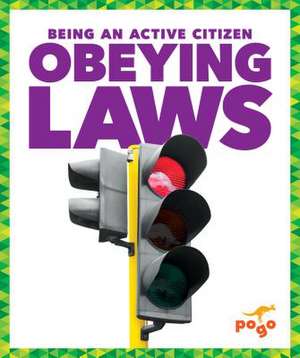 Obeying Laws de Vincent Alexander