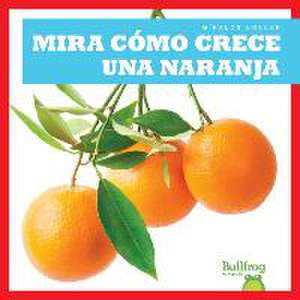 Mira Como Crece Una Naranja (Watch an Orange Grow) de Kirsten Chang