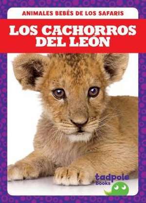 Los Cachorros del León (Lion Cubs) de Genevieve Nilsen