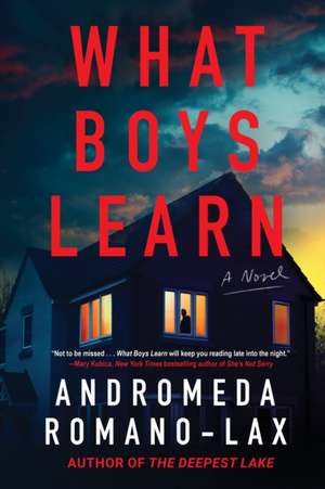 What Boys Learn de Andromeda Romano-Lax