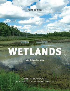 Wetlands: An Introduction de Theda Braddock