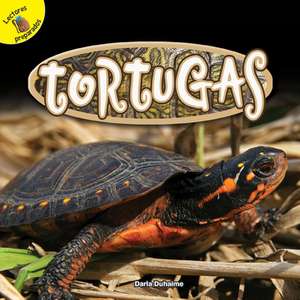 Tortugas de Duhaime