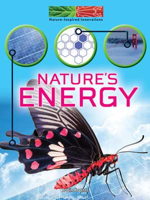 Nature's Energy de Koontz