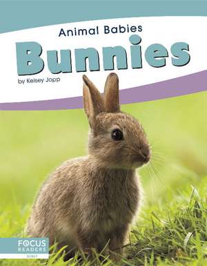 Bunnies de Kelsey Jopp