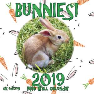 Bunnies! 2019 Mini Wall Calendar (UK Edition) de Sea Wall