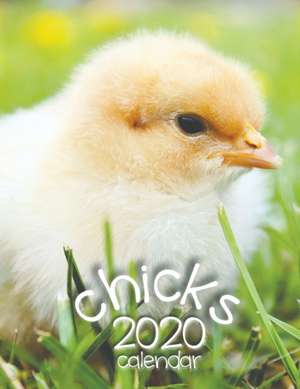 Chicks 2020 Calendar de Wall Publishing