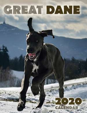 Great Dane 2020 Calendar de Over the Wall Dogs