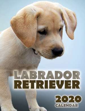 Labrador Retriever 2020 Calendar de Over the Wall Dogs