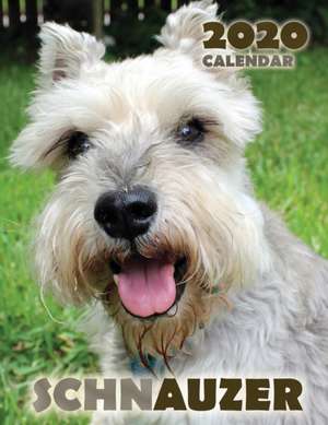 Schnauzer 2020 Calendar de Over the Wall Dogs