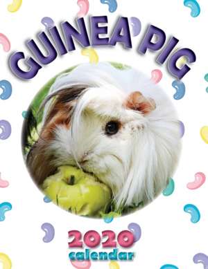 Guinea Pig 2020 Calendar de Wall Publishing