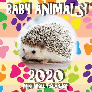 Baby Animals! 2020 Mini Wall Calendar de Sea Wall