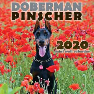 Doberman Pinscher 2020 Mini Wall Calendar de Over the Wall Dogs