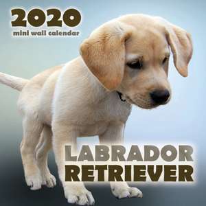 Labrador Retriever 2020 Mini Wall Calendar de Over the Wall Dogs