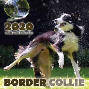 Border Collie 2020 Mini Wall Calendar de Over the Wall Dogs