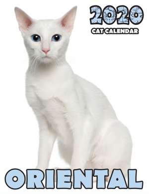 Oriental 2020 Cat Calendar de Climbing Wall Cats