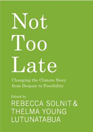 Not Too Late de Rebecca Solnit