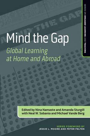 Mind the Gap: Global Learning at Home and Abroad de Nina Namaste