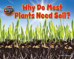 Why Do Most Plants Need Soil? de Ellen Lawrence