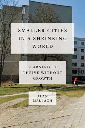 Smaller Cities in a Shrinking World: Learning to Thrive Without Growth de Alan Mallach