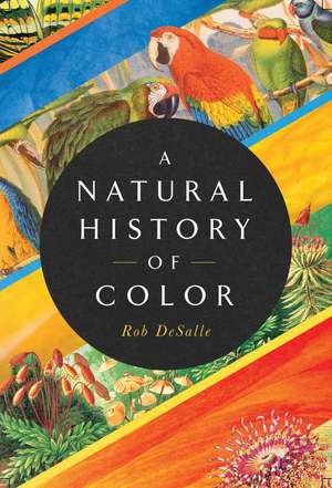 A Natural History of Color: The Science Behind What We See and How We See it de Rob DeSalle