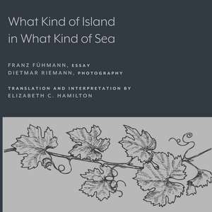 What Kind of Island in What Kind of Sea? de Franz Fühmann