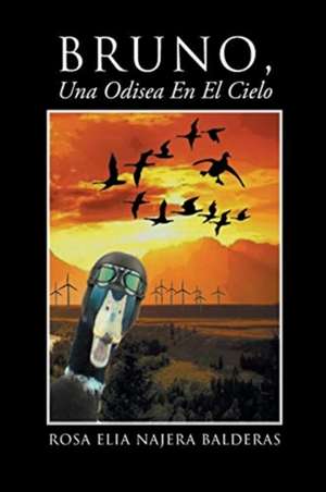 Bruno Una Odisea En El Cielo de Rosa Elia Najera Balderas