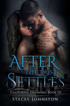 After the Dust Settles de Stacey Johnston