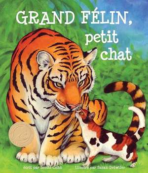 Grand Félin, Petit Chat de Scotti Cohn