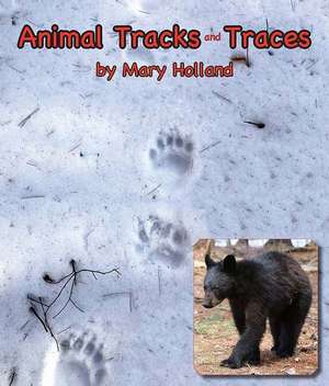 Animal Tracks & Traces de Mary Holland