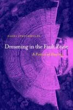 Dreaming in the Fault Zone: A Poetics of Healing de Eleni Stecopoulos