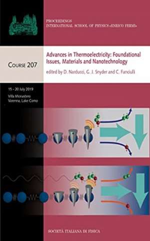 ADVANCES IN THERMOELECTRICITY FOUNDATION de D. NARDUCCI