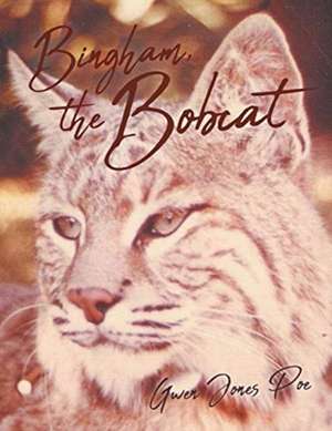 Bingham the Bobcat de Gwen Poe