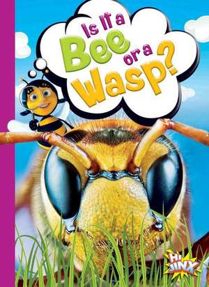 Is It a Bee or a Wasp? de Gail Terp