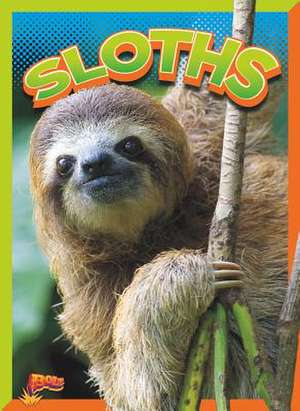 Sloths de Gail Terp