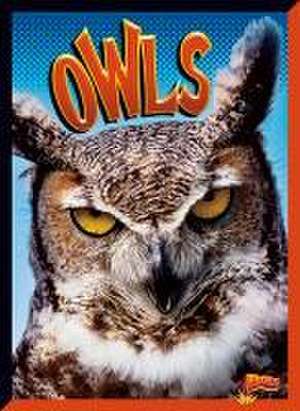 Owls de Janet Davis-Castro