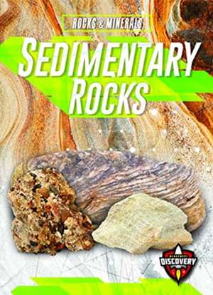 Sedimentary Rocks de Jennifer Fretland VanVoorst