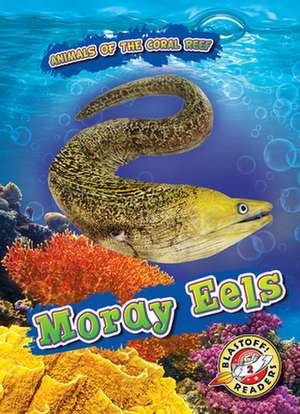 Moray Eels de Lindsay Shaffer