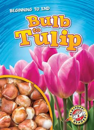 Bulb to Tulip de Rachel Grack