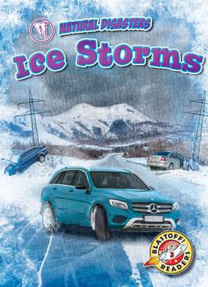 Ice Storms de Rebecca Pettiford