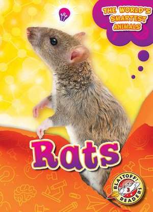 Rats de Joanne Mattern