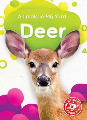 Deer de Amy McDonald