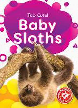 Baby Sloths de Rachael Barnes