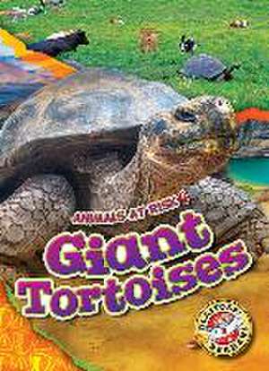 Giant Tortoises de Rachel Grack