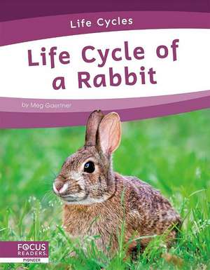 Life Cycle of a Rabbit de Meg Gaertner