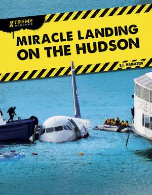 Miracle Landing on the Hudson de John Hamilton