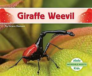 Giraffe Weevil de Grace Hansen