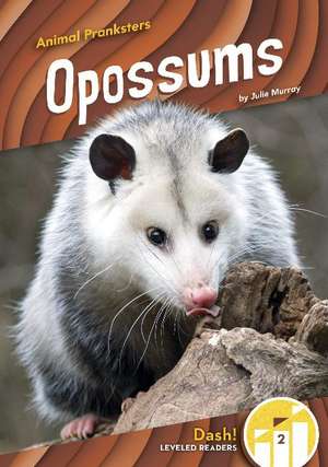 Opossums de Julie Murray