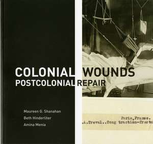 Colonial Wounds/Postcolonial Repair de Beth Hinderliter