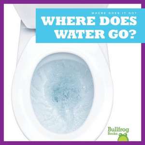 Where Does Water Go? de Charlie W Sterling