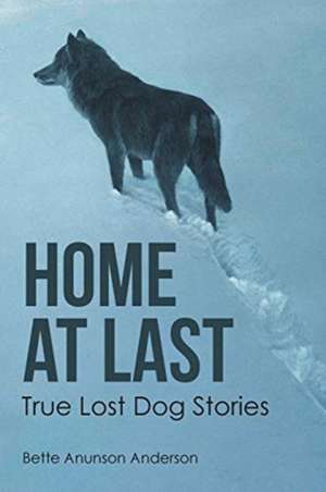 Home at last de Bette Anunson Anderson